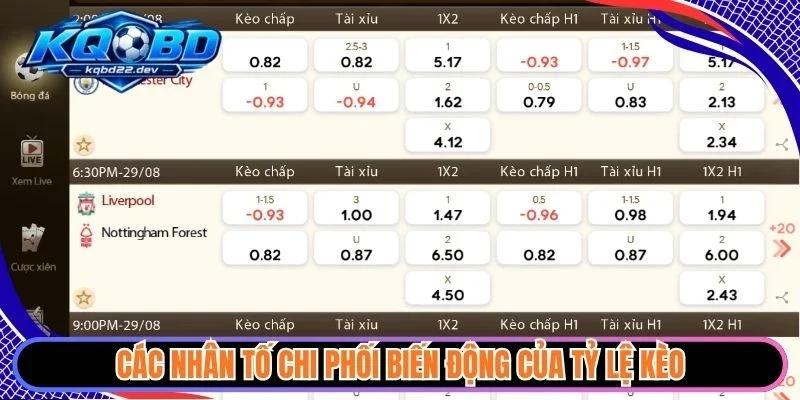 Tỷ lệ kèo 1 Các nhân tố chi phối biến động của tỷ lệ kèo